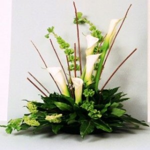 Contemporary Calla Lilys by Enchanted Florist in Cape Coral, FL | ENCHANTED FLORIST OF CAPE CORAL Contemporary Calla Lilys by Enchanted Florist in Cape Coral, FL | ENCHANTED FLORIST OF CAPE CORAL