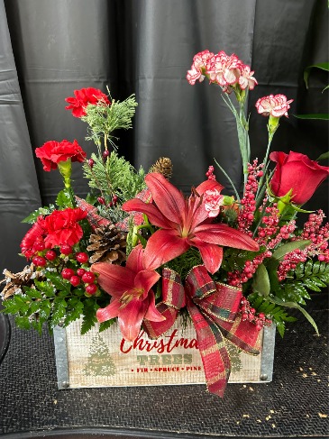 Contemporary Christmas contemporary foam in Columbus, IN | The Red Poppy Flowers and Gifts