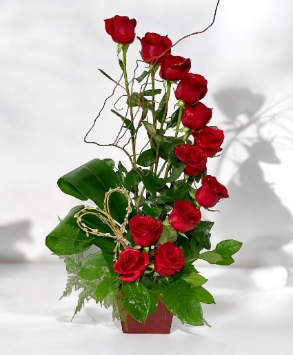 Contemporary Dozen Red Roses 