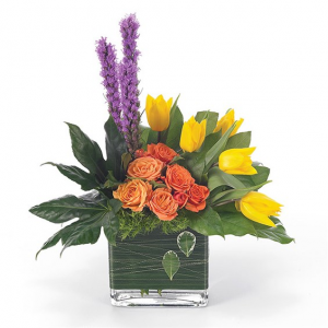 Contemporary Expressions BF15-11K in Arlington, TX | Erinn's Creations Florist Contemporary Expressions BF15-11K in Arlington, TX | Erinn's Creations Florist