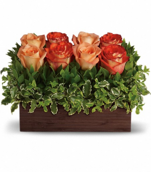 Contemporary Hedge design Rose bouquet  