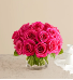 Contemporary Hot Pink Roses 