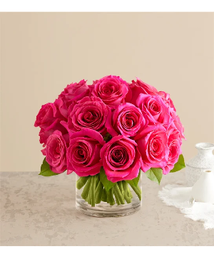 Contemporary Hot Pink Roses 