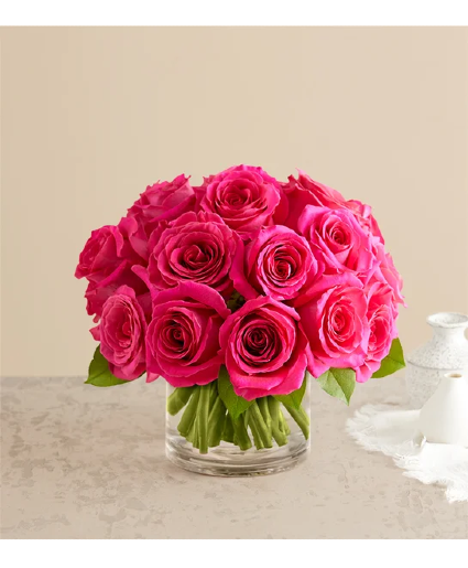 Contemporary Hot Pink Roses