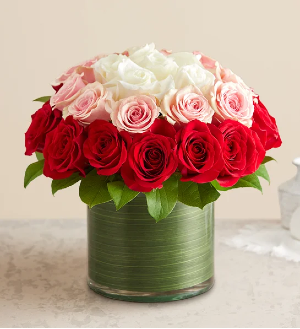 contemporary mix roses 