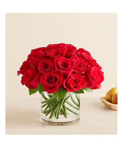 Contemporary Red Roses Roses