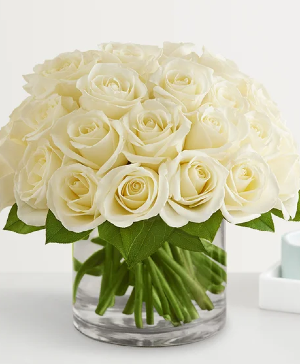 Contemporary White roses  1800-Flowers