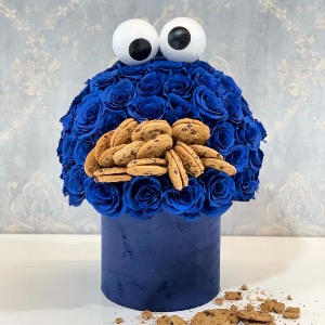 Cookie Monster  