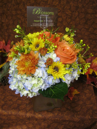 Cool Autumn Fall