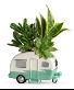 Cool Camper Succulent Garden 