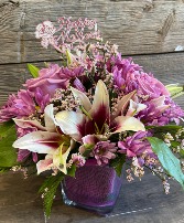 Cool Mama! (Potting Shed Exclusive)