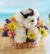 Cool Pup™ 3D Summer