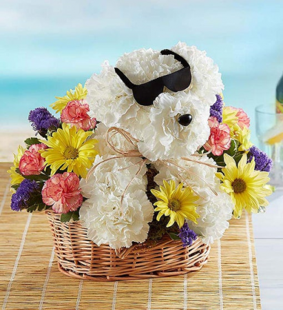 Cool Pup™ 3D Summer