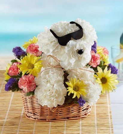 Cool Pup Bouquet 