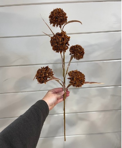 Copper Allium fall silk