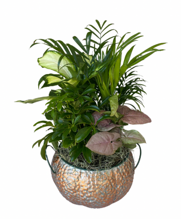 Copper Pumpkin Planter Plant in Roy, UT | Reed Floral Design