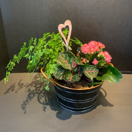 Copper Tropical Garden