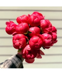 Seasonal Peonies Fresh Flower Bouquet
