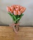 Coral silk Tulips  Apache Junction Gold Canyon  