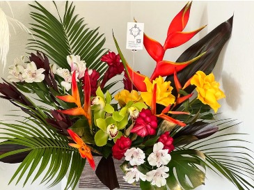 Coral Sonata  Our House Favorite Pick! in Fort Myers, FL | ANGEL BLOOMS FLORIST