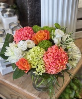 Coral Splash 