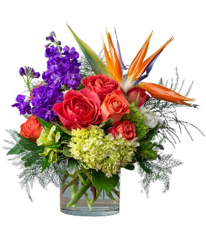 Coral Sunrise All Around Arrangement