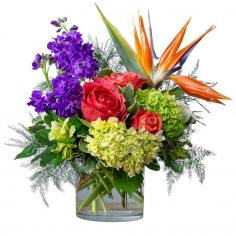 Category Image
