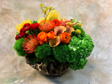 Coraly Reefy Art arrangement