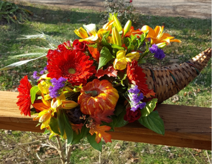 Cornicopia Dreams Fall Special
