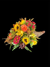 Cornucopia 22 