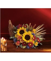 Cornucopia 