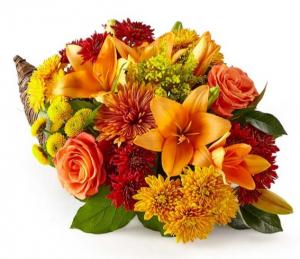 Cornucopia of Color 