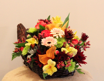 Cornucopia of plenty