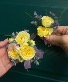 Corsage and Boutonniere  Homecoming Prom 