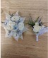 corsage and boutonniere SET apache junction 