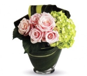 Florist Riverdale NY 347-577-5300  Riverdale Bronx NY Flower Shop 