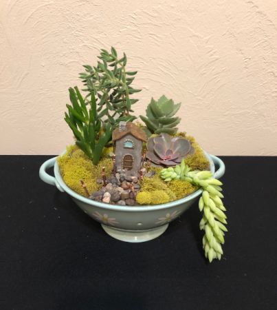 Cottage Dreamscape Succulent Garden