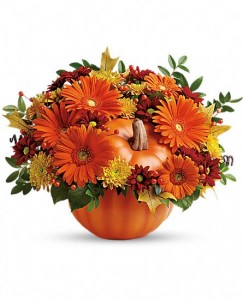 Country Pumpkin  by Enchanted Florist