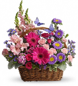 Country Basket Blooms T48-3 Basket Arrangement in Elkton, MD | FAIR HILL FLORIST Country Basket Blooms T48-3 Basket Arrangement in Elkton, MD | FAIR HILL FLORIST