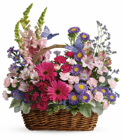 Country Basket Blooms by Teleflora Basket Arrangement