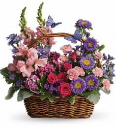 Category Image