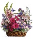 Country Basket Blooms Fresh Mix
