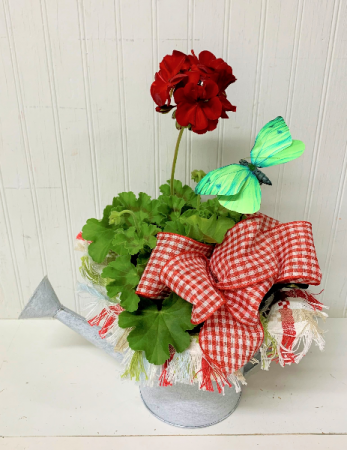 Country Blooms
