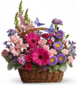 COUNTRY BASKET BLOOMS