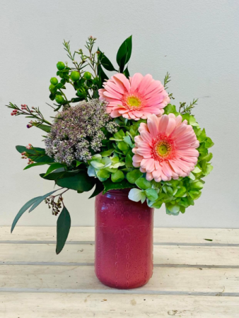 Country Charm (GERBER DAISY)