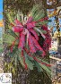 Country Christmas Grapevine Wreath  