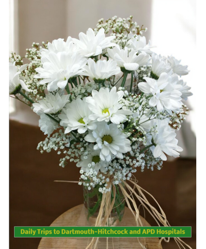 Country Daisies in Mason Jar (LGOE)