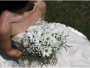 Country Daisy Bundle A Bouquet