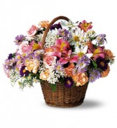 Country Days                     TF7-2 basket arrangement 