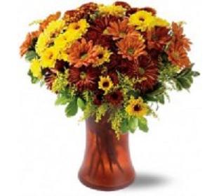 Country Mums!